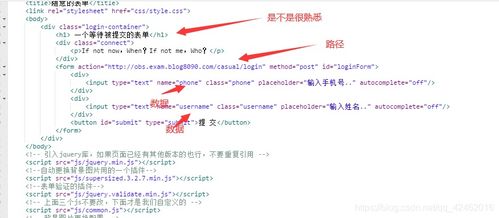 计算机网络工程 见习工程师的核心实践领域